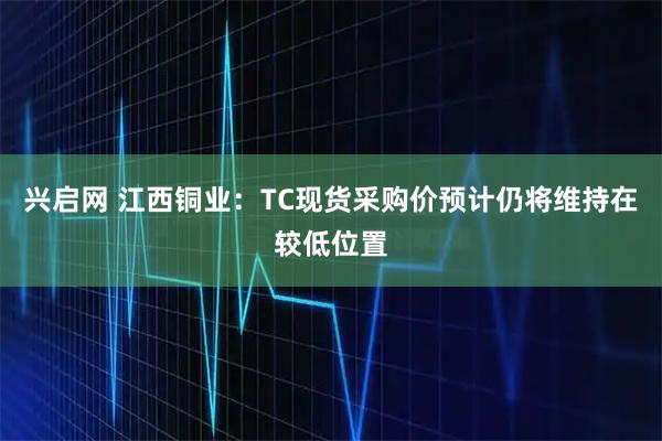 兴启网 江西铜业：TC现货采购价预计仍将维持在较低位置