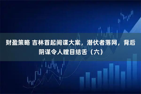 财盈策略 吉林首起间谍大案，潜伏者落网，背后阴谋令人瞠目结舌（六）