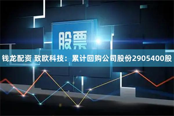 钱龙配资 致欧科技：累计回购公司股份2905400股