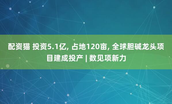配资猫 投资5.1亿, 占地120亩, 全球胆碱龙头项目建成投产 | 数见项新力