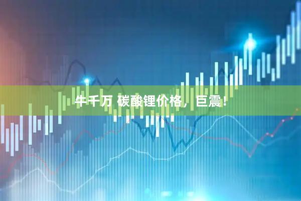 牛千万 碳酸锂价格，巨震！