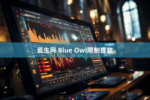 资生网 Blue Owl限制提款
